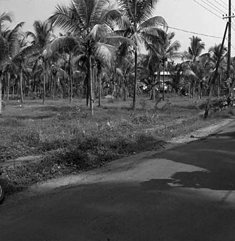 32 cents of land for immediate sale, individual owner