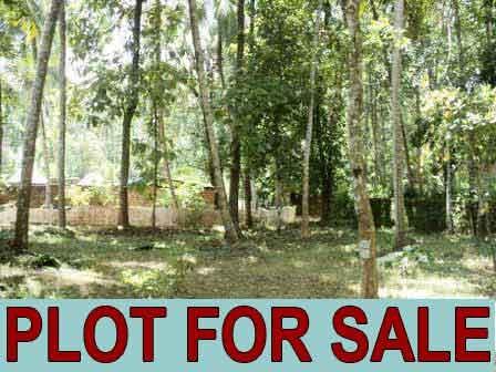 15 cents residential plot is located near methotuthazham in palazhi route. â€”